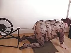 Межрассовый cinsi atdırmaq velosiped