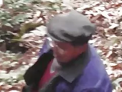 Meşə seriyası - vəhşi meşə